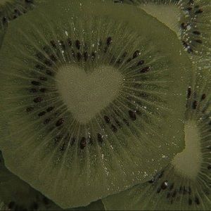 Meet your Posher, Dani